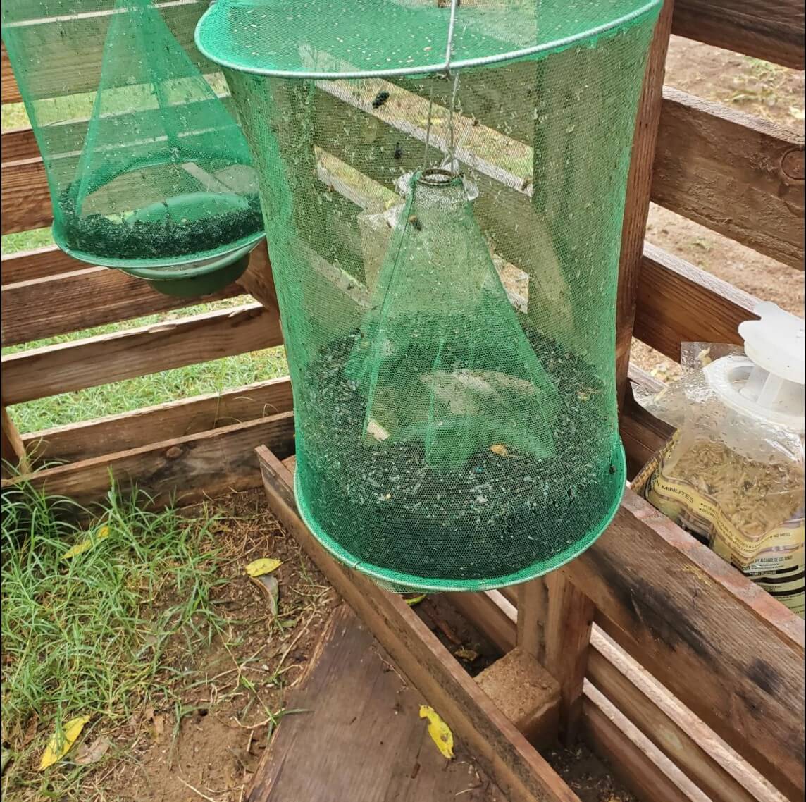 Fly & Mosquito Trap - Summer Hot Sale 49% OFF