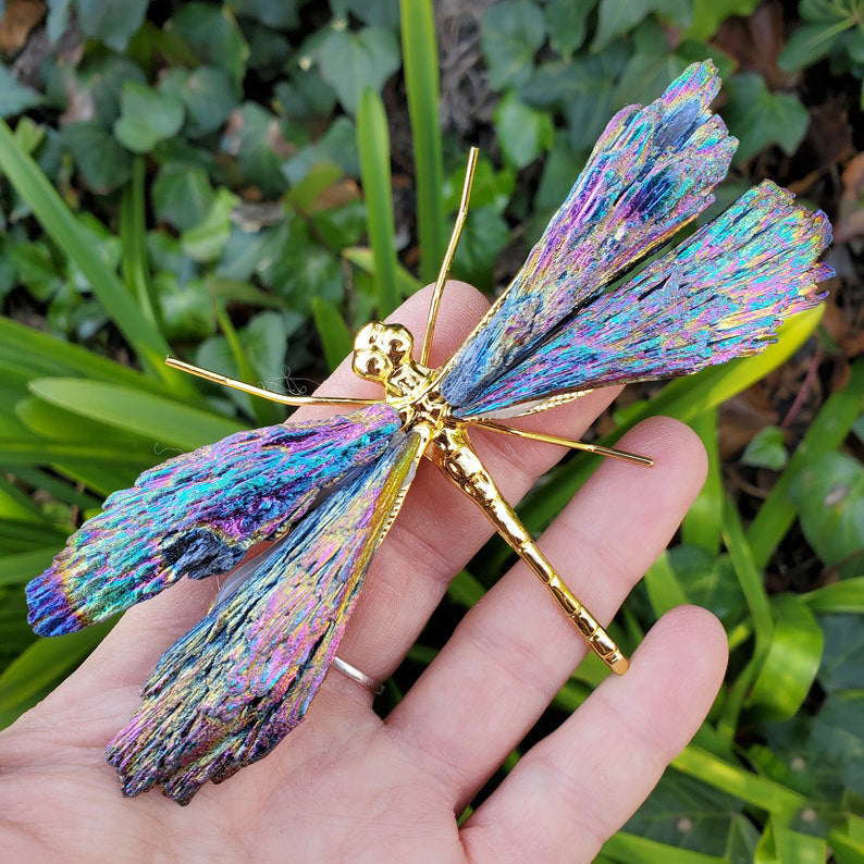 AURA TOURMALINE KYANITE DRAGONFLYBIG SALE - 49% OFF