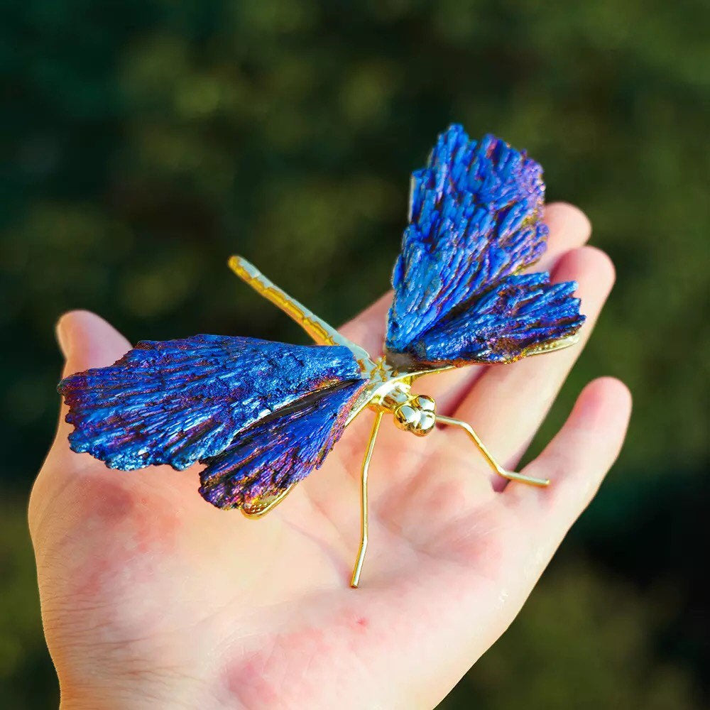AURA TOURMALINE KYANITE DRAGONFLYBIG SALE - 49% OFF